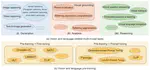 A Survey of Vision and Language Related Multi-Modal Task